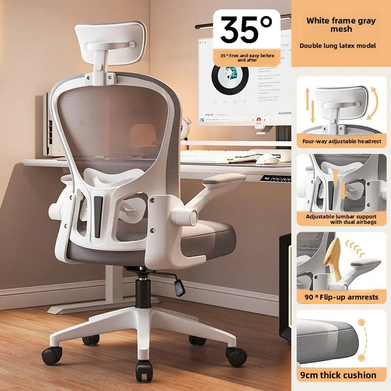 New model Computer chair Dormitory chair Ergonomic chair Learning seat Computer chair with waist rest