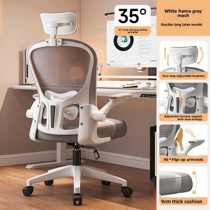 New model Computer chair Dormitory chair Ergonomic chair Learning seat Computer chair with waist rest