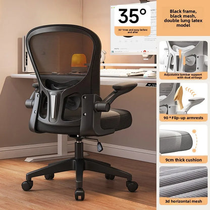 New model Computer chair Dormitory chair Ergonomic chair Learning seat Computer chair with waist rest