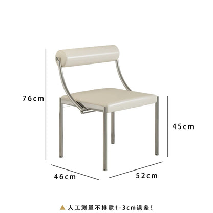 Vintage Designer Dining Chair with Stainless Steel Frame Study Room Seat Bedroom Dressing Table Makeup Stool Home Kitchen Chairs