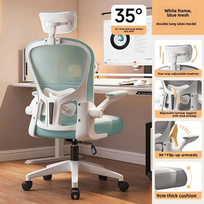 New model Computer chair Dormitory chair Ergonomic chair Learning seat Computer chair with waist rest