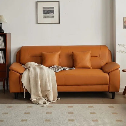 Double sofa small apartment modern living room leather leather sofa sofa three-person cowhide simple
