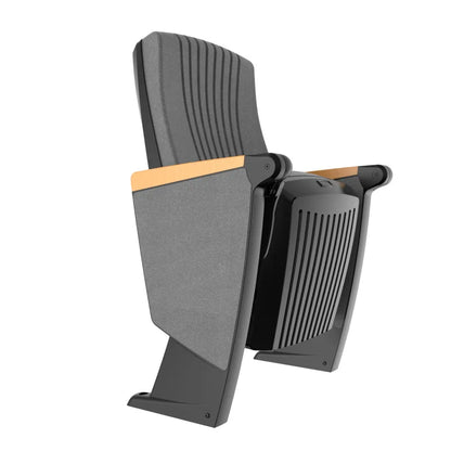Auditorium Chairs Row Chairs School Lecture Hall Seats Ladder Classrooms Theatre Chairs