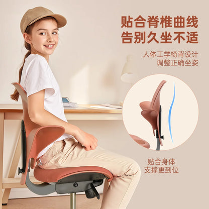 Back support Computer Office ergonomics Learning Dentist Saddle chair