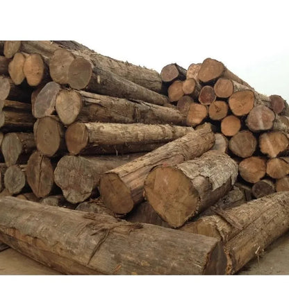 All Weather Luxury Customized Patio Outdoor Casual Sofa Courtyard Teak Wooden Sun Lounger Furniture Outdoor Daybed Daybed 의자outd