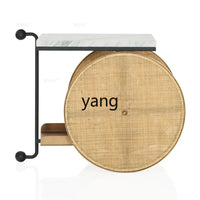 LMM simple wrought iron edge few movable cart rattan rack two-layer metal model room display rack