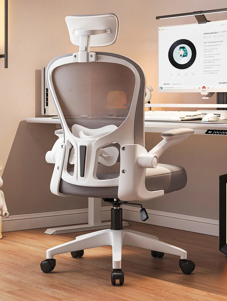 New model Computer chair Dormitory chair Ergonomic chair Learning seat Computer chair with waist rest