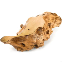 F19B Durable Resin Flower Pot Tree Root for Home and Office Landscape