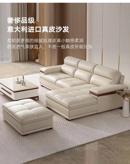 Leather sofa modern simple living room size apartment concubine solid wood combination imported first-layer cowhide sofa