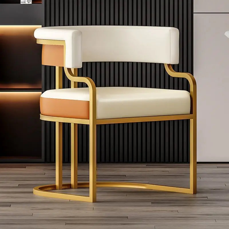 Modern Light Luxury Accent Chair Premium Dining Chair for Salon Reception Office Conference Hotel Lounge Makeup Nail Studio