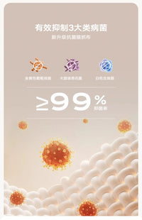 Postmodern Living Room Sofas Fabric Nordic Designer Modern Lounge Couch Lazy Replica Sleeper Princess Divano Salon Furniture