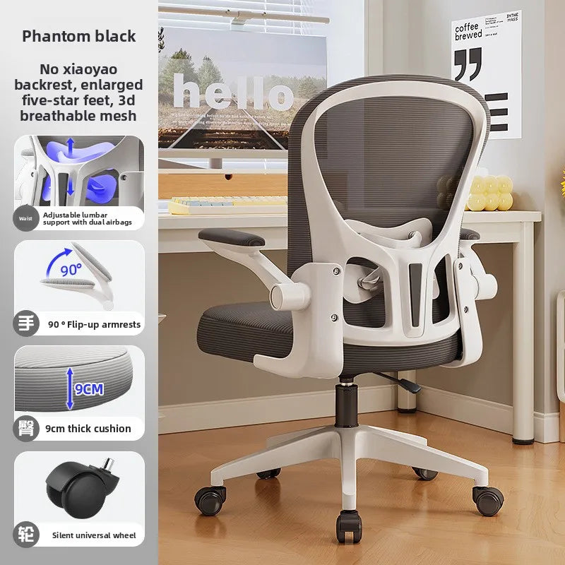 New model Computer chair Dormitory chair Ergonomic chair Learning seat Computer chair with waist rest