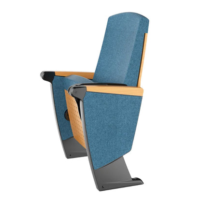Auditorium Chairs Row Chairs School Lecture Hall Seats Ladder Classrooms Theatre Chairs
