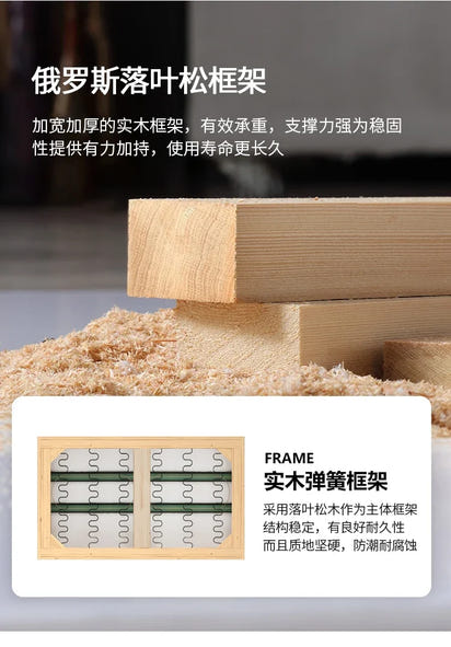 Classic Family Living Room Sofas Recliner Modern Minimalist Luxury Sofa Multifunctional Relaxing Woonkamer Banken Home Furniture