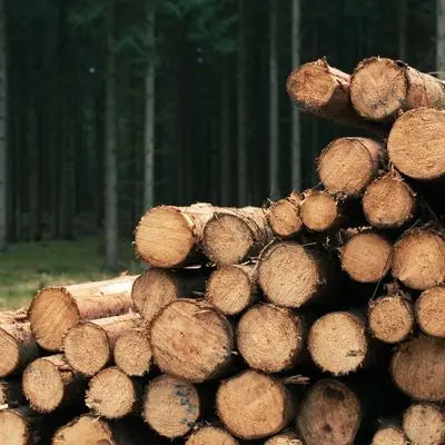 Teddy Fabric Swivel Accent Chair Single Sofa Chair with Upholstered One Back Pillow Armrest Rivets for Home Office Living Room