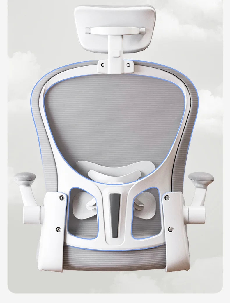 New model Computer chair Dormitory chair Ergonomic chair Learning seat Computer chair with waist rest