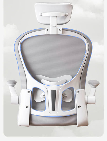 New model Computer chair Dormitory chair Ergonomic chair Learning seat Computer chair with waist rest