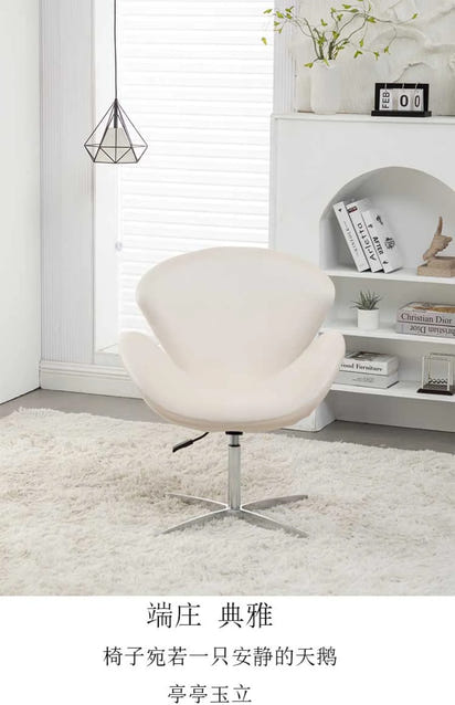 Sofa chair Makeup chair