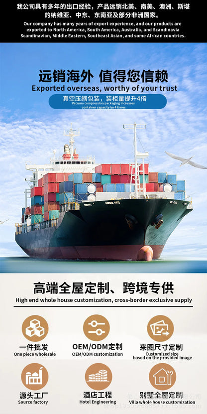 Simple sofa lazy wind concubine lazy small apartment living room leisure bedroom balcony vacuum furniture compression