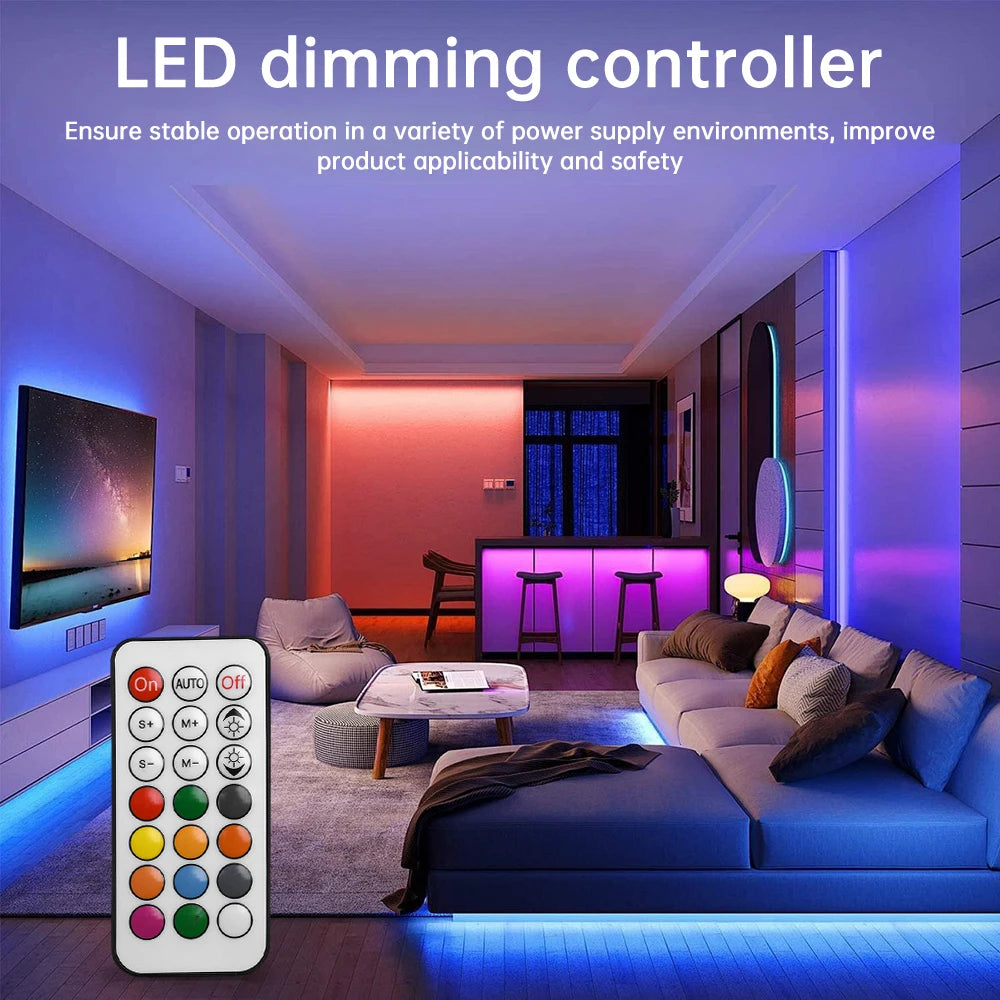 DC5-24V 21 Keys LED Controller RF Wireless Remote LED Dimming Controller RGB For Strip Light WS2812 WS2812B WS2811 WS2813