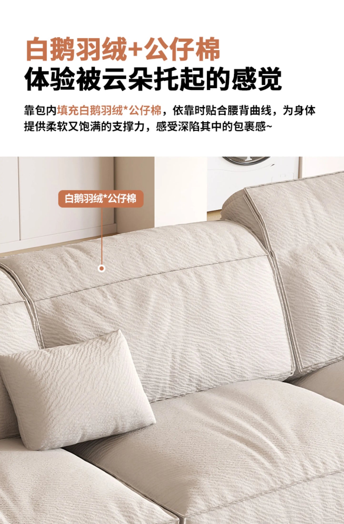 Modern Classic Sofas Designer Cushion Living Room Floor Sofa Relaxing 2 Seater Lounge Divani Da Soggiorno Home Furniture