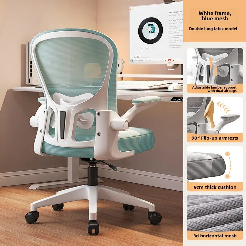 New model Computer chair Dormitory chair Ergonomic chair Learning seat Computer chair with waist rest