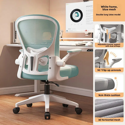New model Computer chair Dormitory chair Ergonomic chair Learning seat Computer chair with waist rest