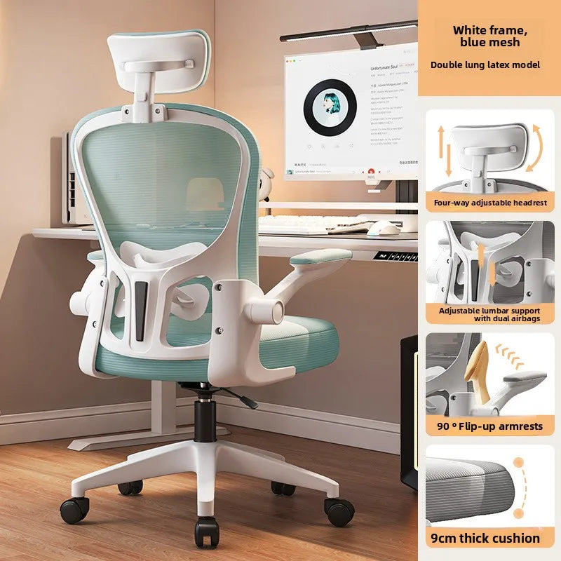 New model Computer chair Dormitory chair Ergonomic chair Learning seat Computer chair with waist rest