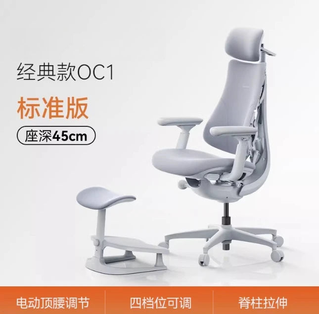 Relaxing Dynamic Ergonomic Chair Human Body Ergonomic Chair Computer