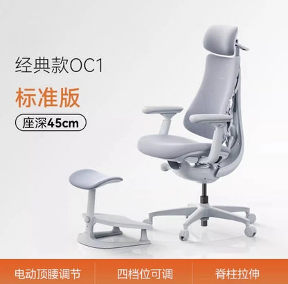 Relaxing Dynamic Ergonomic Chair Human Body Ergonomic Chair Computer