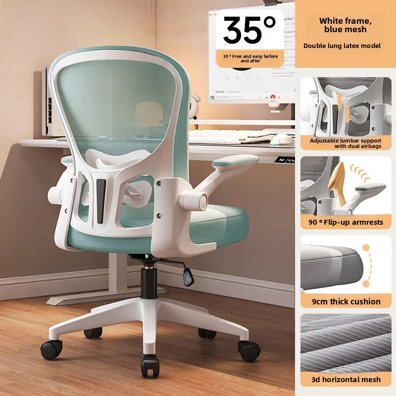 New model Computer chair Dormitory chair Ergonomic chair Learning seat Computer chair with waist rest