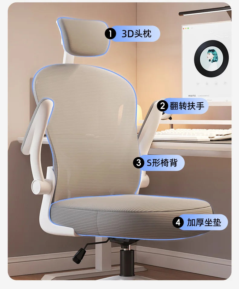 New model Computer chair Dormitory chair Ergonomic chair Learning seat Computer chair with waist rest