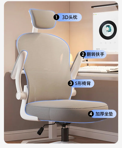 New model Computer chair Dormitory chair Ergonomic chair Learning seat Computer chair with waist rest