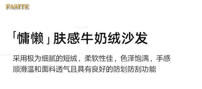 Lounge Living Room Sofas Fabric Minimalist Modern Design Sofa Elegant Comfortable Kanapy