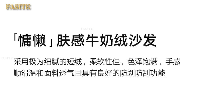 Lounge Living Room Sofas Fabric Minimalist Modern Design Sofa Elegant Comfortable Kanapy