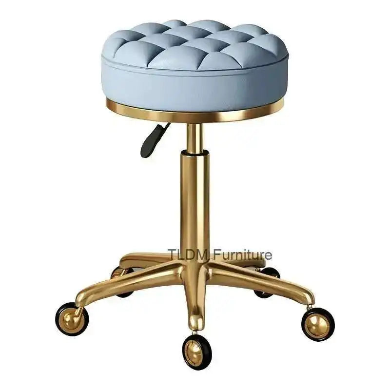 Beauty Chair Specifically Designed for Beauty Salon Adjustable Rotating Pulley Hair Salon Round Stool Tabouret A Roulette 원형의자