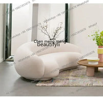 Nordic Curved Sofa Quiet Wind Living Room Fabric Craft Cashew Sofa