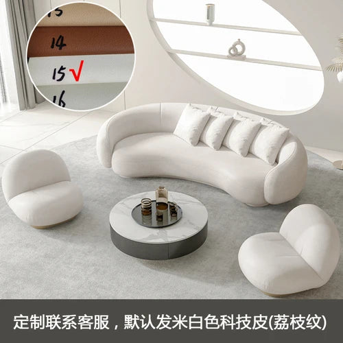Arc-shaped sofa, small unit, internet celebrity, light luxury homestay villa, designer, lamb plush leather art sofa