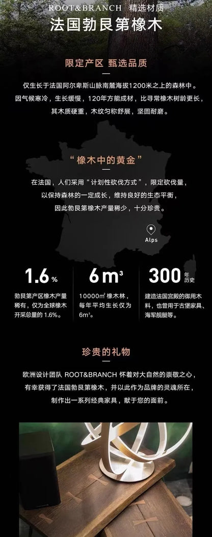 American retro single sofa chair living room lazy chair designer solid wood Nordic light luxury leisure chair