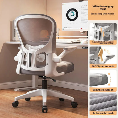 New model Computer chair Dormitory chair Ergonomic chair Learning seat Computer chair with waist rest