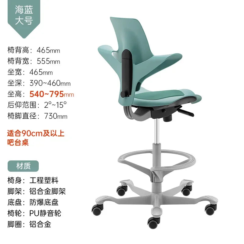 Back support Computer Office ergonomics Learning Dentist Saddle chair