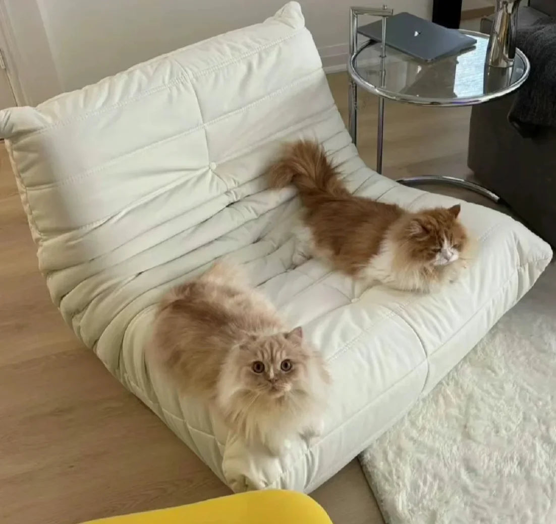 Oil wax caterpillar sofa, fashionable, high-end and atmospheric, luxurious decoration for living room, bedroom, hotel
