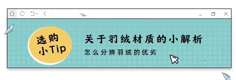 Cashew sofa Nordic light luxury modern simple living room fabric sofa combination straight row sofa