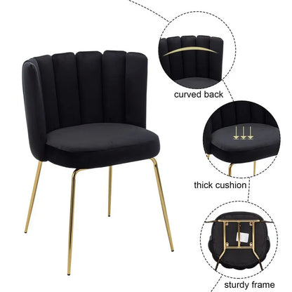 Dining Chairs Set of 2, Comfy Living Room Chairs Modern Velvet Upholstered Accent Chair for Kitchen Vanity Bedroom with Curved B