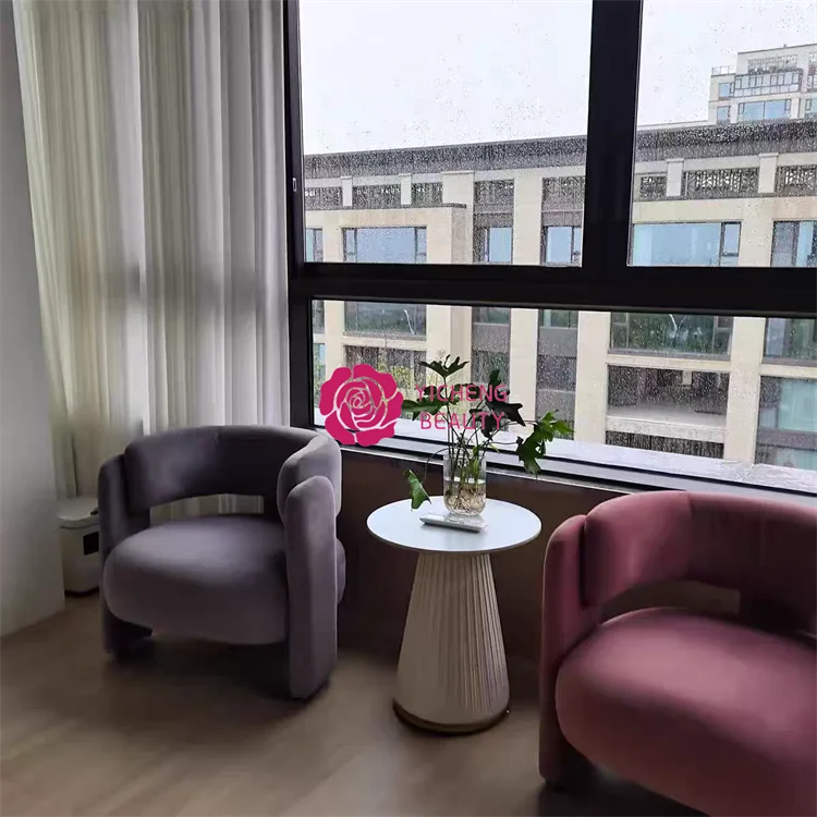 Beauty Wholesale Single Sofa Chair Balcony Light Luxury Single Chair From China Supplier Acrylic Chairs