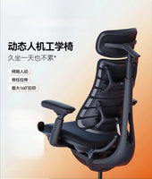 Relaxing Dynamic Ergonomic Chair Human Body Ergonomic Chair Computer