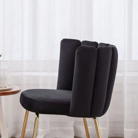 Dining Chairs Set of 2, Comfy Living Room Chairs Modern Velvet Upholstered Accent Chair for Kitchen Vanity Bedroom with Curved B