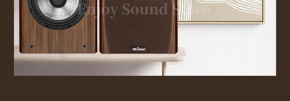 A-1529 8 Inch Two Way HiFi Fever Bookshelf Passive Horn Wooden Box Boron Magnet High pitched Speaker 110W 8Ohm