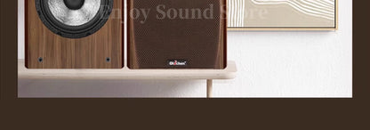 A-1529 8 Inch Two Way HiFi Fever Bookshelf Passive Horn Wooden Box Boron Magnet High pitched Speaker 110W 8Ohm