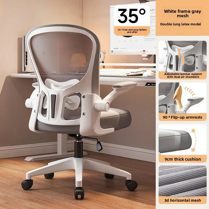 New model Computer chair Dormitory chair Ergonomic chair Learning seat Computer chair with waist rest